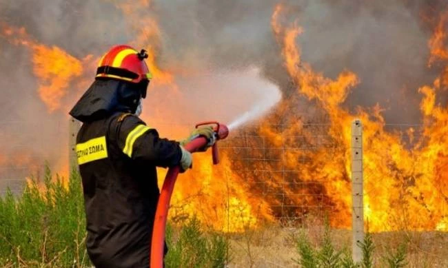 Φωτιές σε Κεφαλονιά και Αχαΐα: Συνεχίζεται η μάχη των πυροσβεστών (βίντεο)